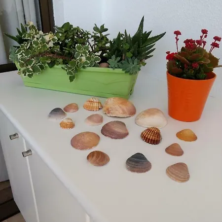 Apartamento Ferreira *